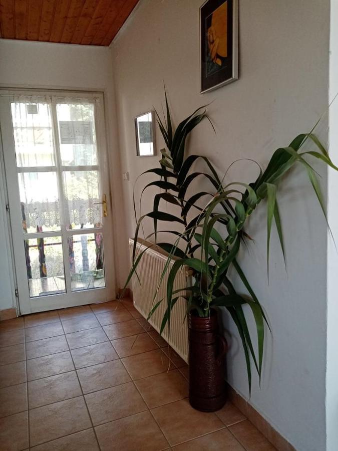 Kekturas-Tora Nyilo Badacsonyi Privat Berlemeny Otel Badacsonytomaj Dış mekan fotoğraf