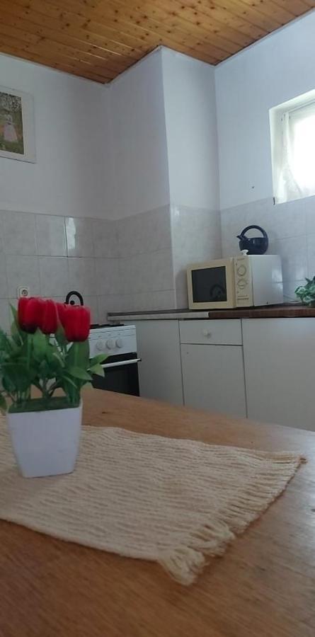 Kekturas-Tora Nyilo Badacsonyi Privat Berlemeny Otel Badacsonytomaj Dış mekan fotoğraf